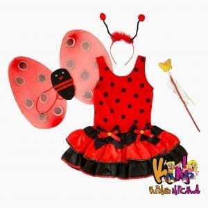 Fantasia Luxo Joaninha.